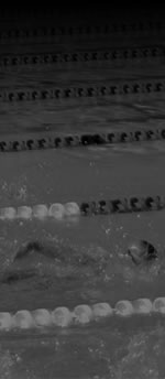 Entrenamiento Profesional Personalizado | Spofitec