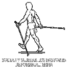 Asociación Mexicana de Caminata Nórdica | Spofitec