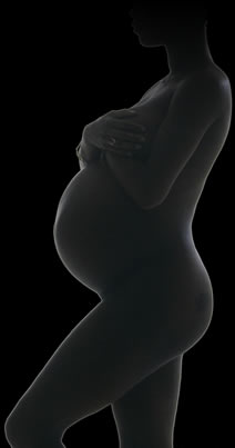 Entrenamiento Inteligente | Spofitec