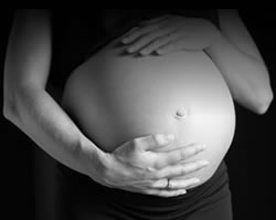 Entrenamiento Inteligente | Spofitec