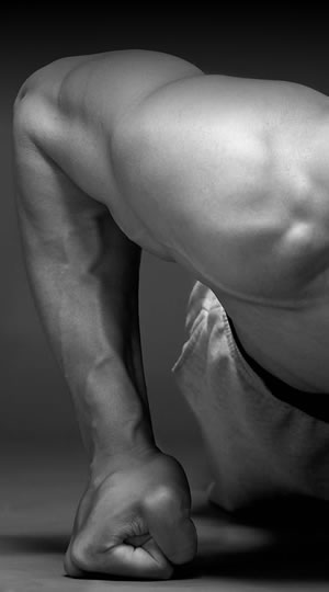 Entrenamiento Inteligente | Spofitec